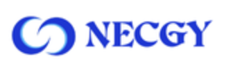 Necgy IT & Consulting logo